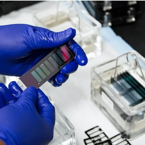 Global Medical Health