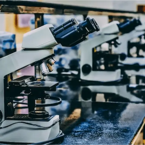 Global Medical Health